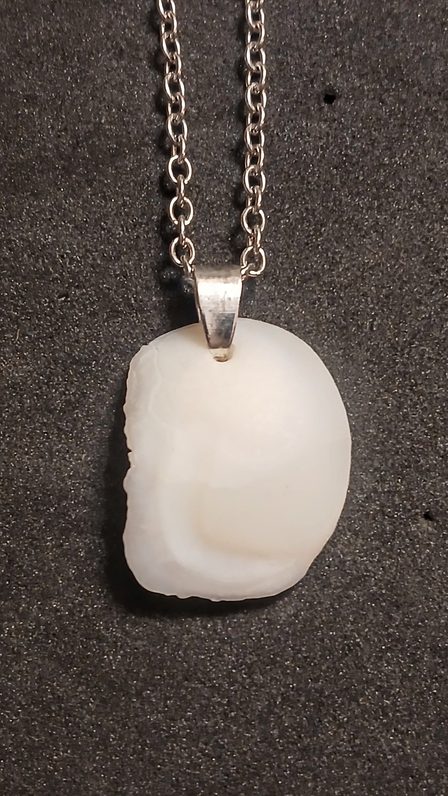 Otolith "Lake Erie Lucky Stone"