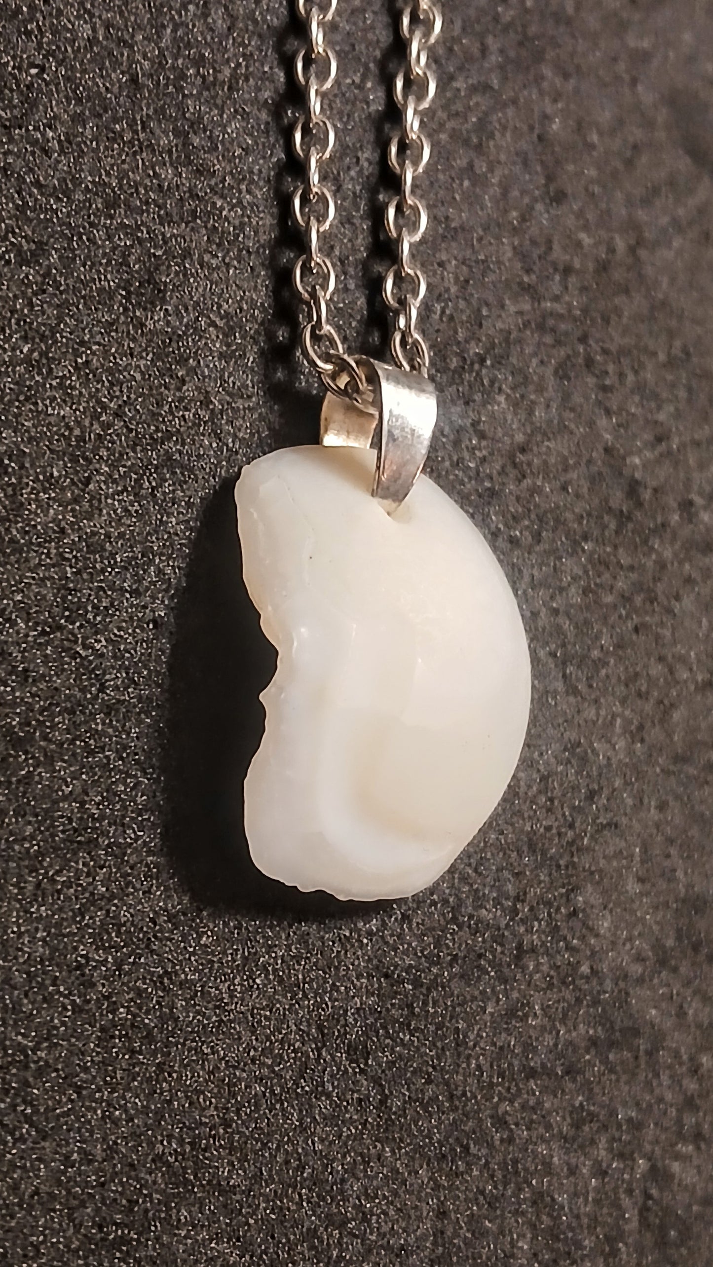 Otolith "Lake Erie Lucky Stone"