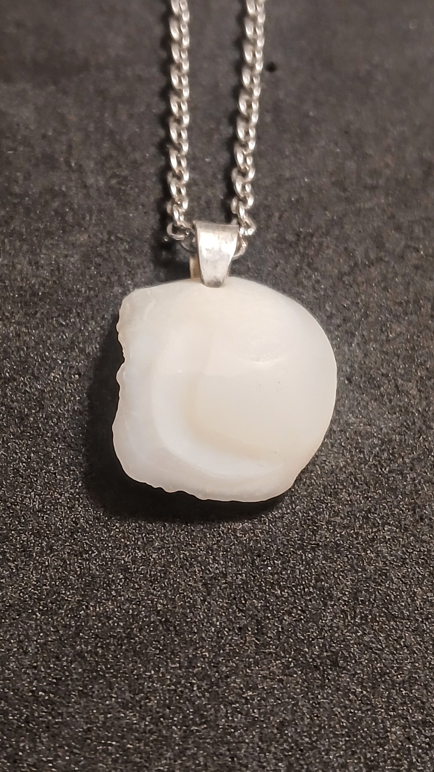 Otolith "Lake Erie Lucky Stone"