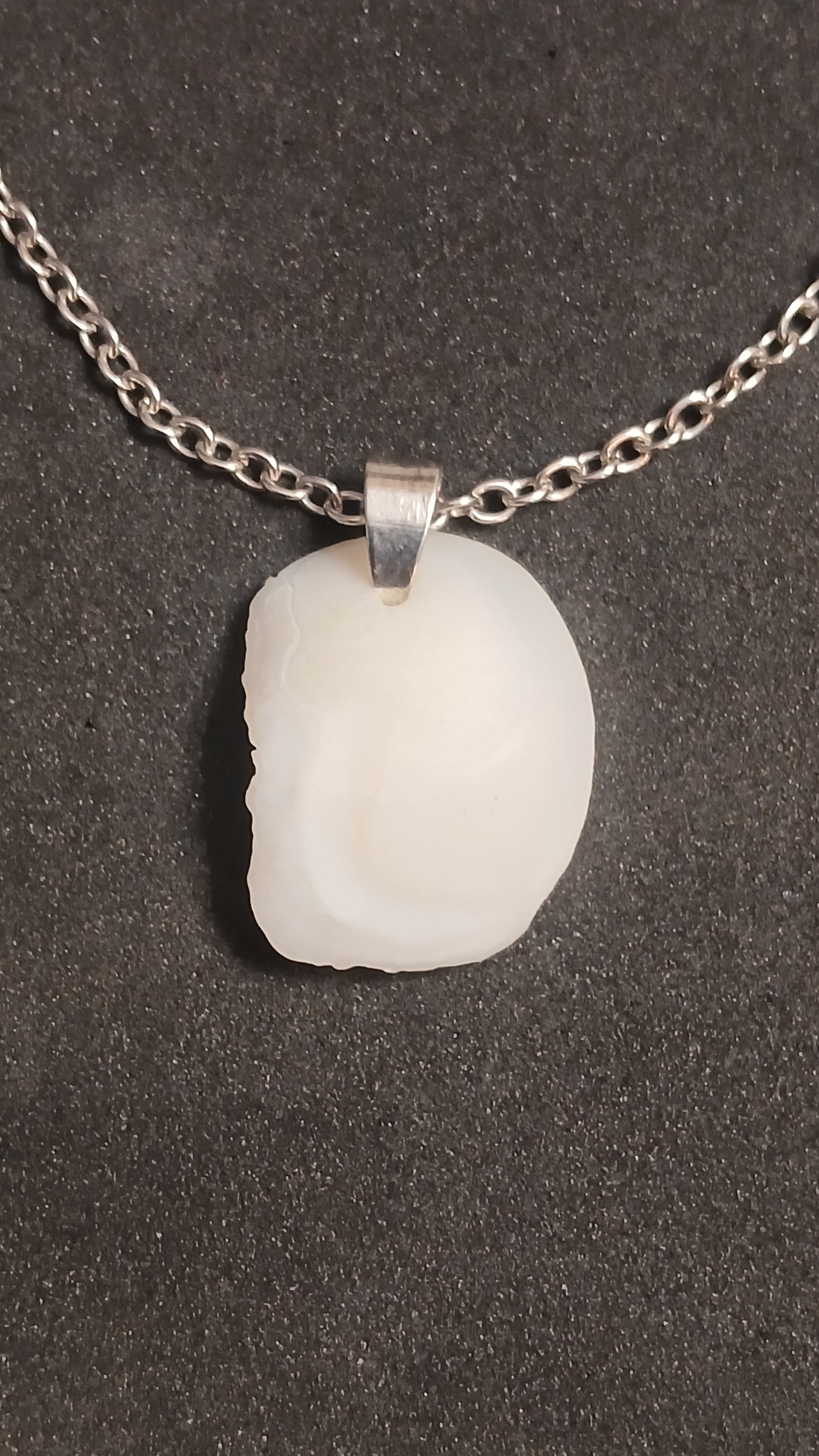 Otolith "Lake Erie Lucky Stone"
