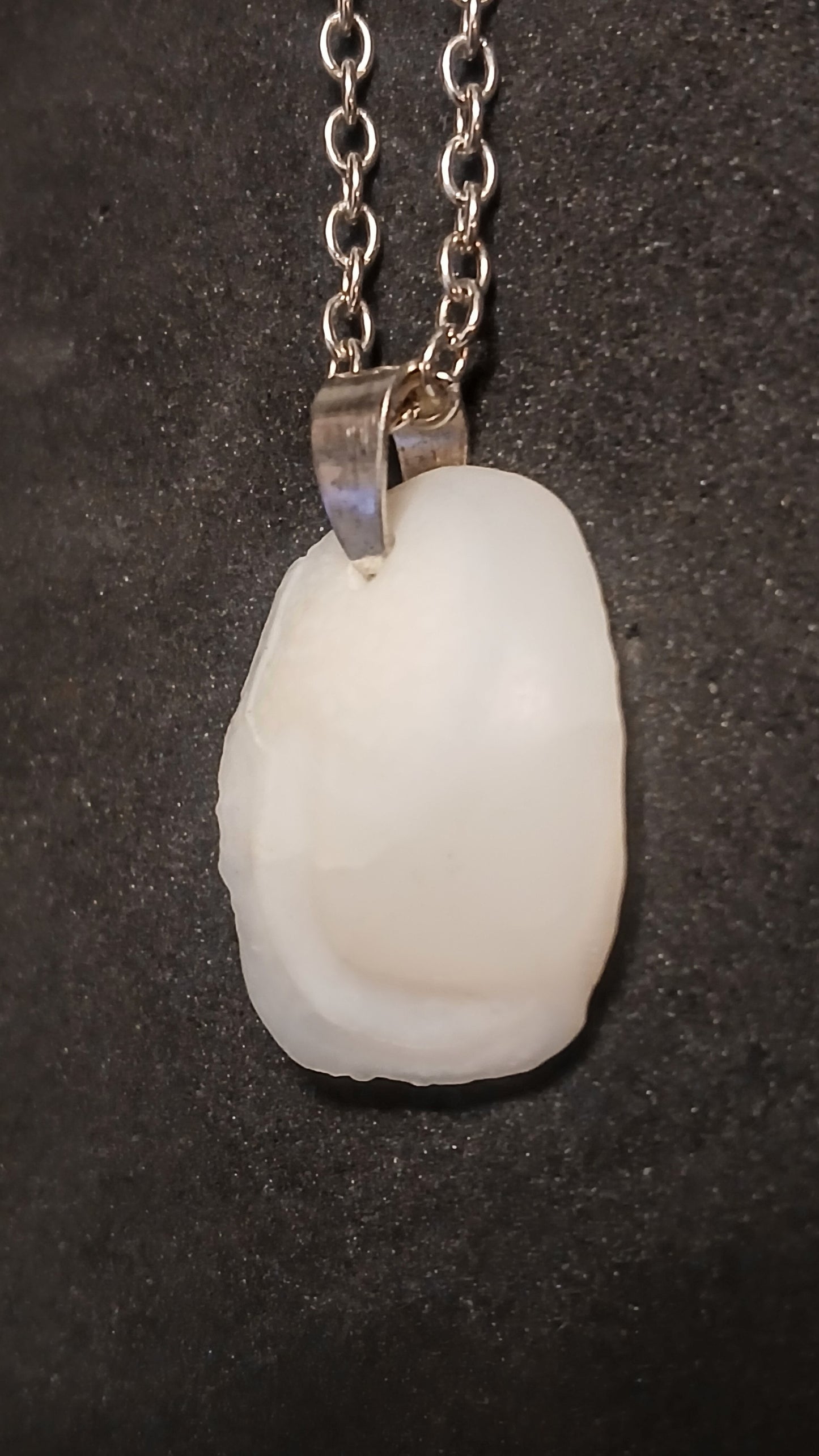 Otolith "Lake Erie Lucky Stone"